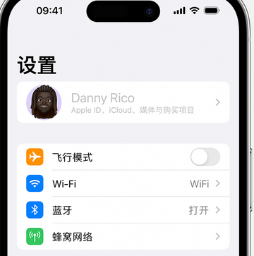 山根镇appleID维修服务iPhone设置中Apple ID显示为灰色无法使用