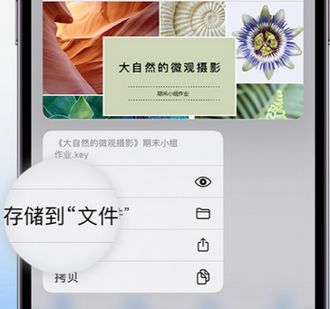 山根镇apple维修中心分享iPhone文件应用中存储和找到下载文件