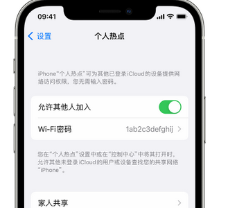 山根镇apple服务站点分享iPhone上个人热点丢失了怎么办