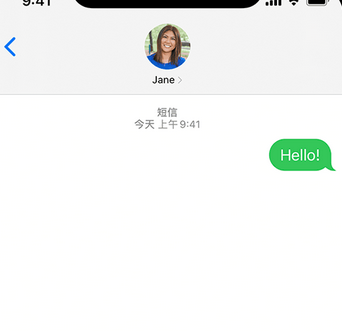 山根镇apple维修iPhone上无法正常发送iMessage信息