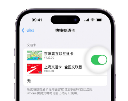 山根镇apple维修点分享iPhone上更换Apple Pay快捷交通卡手绘卡面 