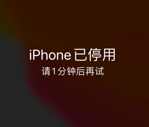 山根镇苹果手机维修分享:iPhone 显示“不可用”或“已停用”怎么办？还能保留数据吗？ 