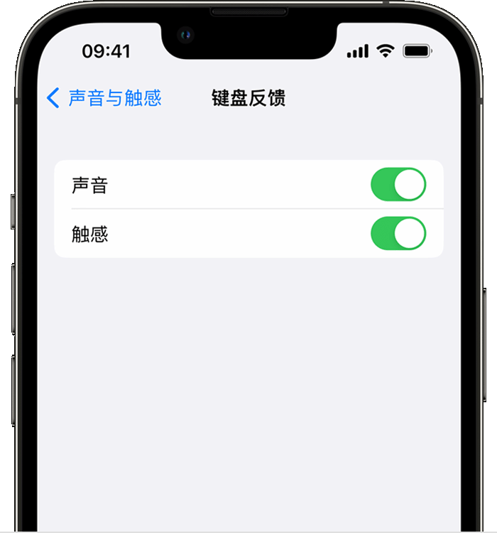 山根镇苹果14维修店分享如何在 iPhone 14 机型中使用触感键盘 