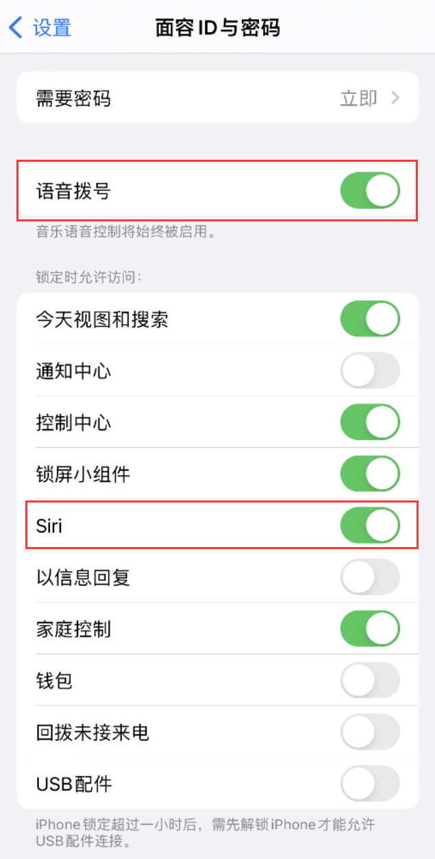 山根镇苹果维修网点分享不解锁 iPhone 的情况下通过 Siri 拨打电话的方法 