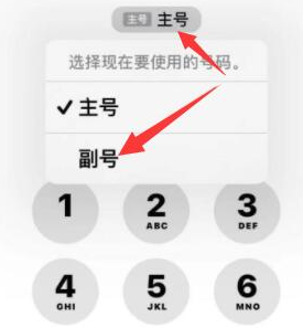 山根镇苹果14维修店分享iPhone 14 Pro Max使用副卡打电话的方法 