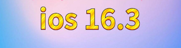 山根镇苹果服务网点分享苹果iOS16.3升级反馈汇总 