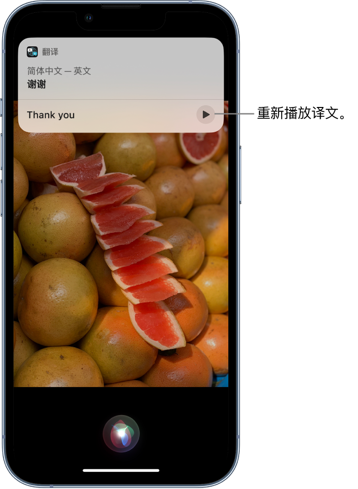 山根镇苹果14维修分享 iPhone 14 机型中使用 Siri：了解 Siri 能帮你做什么 