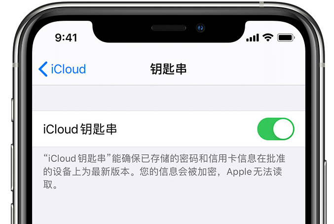 山根镇苹果手机维修分享在 iPhone 上开启 iCloud 钥匙串之后会储存哪些信息 