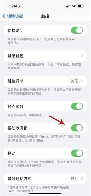 山根镇苹果手机维修分享iPhone手机如何设置摇一摇删除文字 